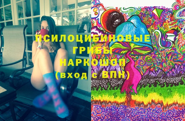 a pvp Дмитриев