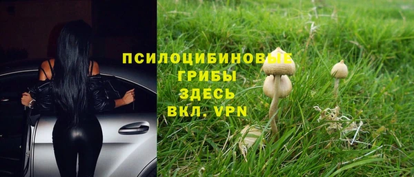 ECSTASY Гусиноозёрск