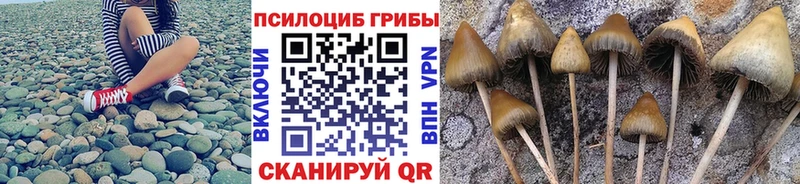 Псилоцибиновые грибы MAGIC MUSHROOMS  дарнет шоп  mega зеркало  Таганрог 